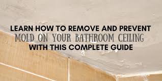 prevent mold on your bathroom ceiling