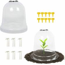 dome shaped garden cloches for plants