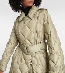 Quilted Down Trench Coat In Neutrals