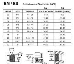 British Standard Pipe Parallel Thehydraulic Com