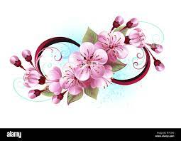 Tatouage de fleurs de cerisier Banque d'images vectorielles - Alamy