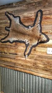 cost for a bobcat rug texasbowhunter