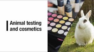 testing in cosmetics