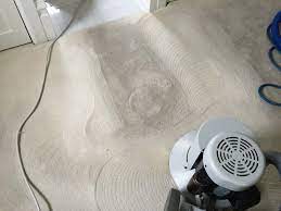 carpet cleaning santa rosa area rug