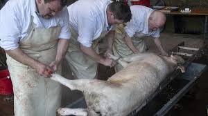 Hausschlachtung in Gaggenau-Michelbach: So wird aus einem Schwein ein  Schnitzel