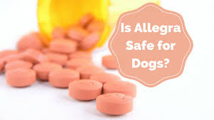 Allegra For Dogs Smart Dog Owners
