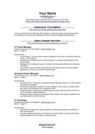 Monster Resume Writing Service   Resume CV Cover Letter
