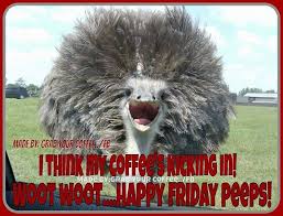 Image result for happy friday images funny