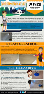 carpet steam cleaning adelaide visual ly