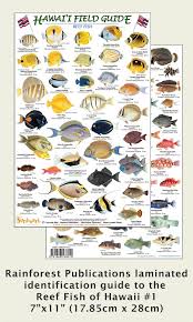 Hawaii Reef Fish 1 Identification Guide Laminated Single