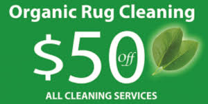 rug carpet cleaning services