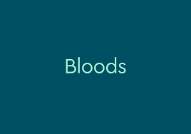 bloods meaning pop culture by