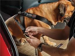 Weathertech Pet Safety Harness Seat