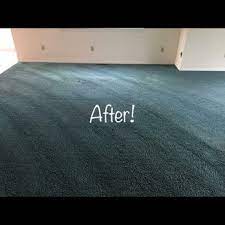 naturalist carpet cleaning 10 reviews