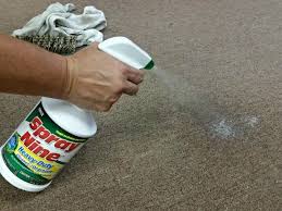 how to remove carpet stains the easy