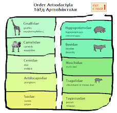 Artiodactyla