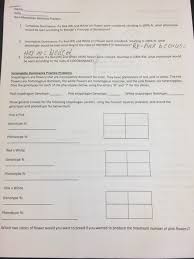 Genetics packet unit challenge basic genetics terms and concepts overview. Non Mendelian Genetics Practice 1 Complete Chegg Com