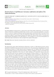 (PDF) Knautia dinarica (Caprifoliaceae): Taxonomy, typification and ...