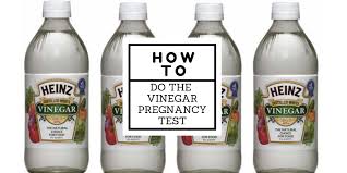 how to do the vinegar pregnancy test