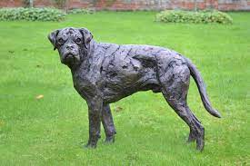 bronze boxer sculpture boxer dog