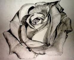 Bobocii simbolizeaza o dragoste nemarturisita, iar florile 7. Cum De A Desena Un Trandafir In Creion Instruire Pas Cu Pas