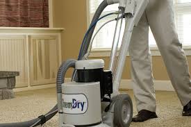 5 best carpet cleaning service in