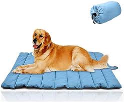 Pet Mat Outdoor Dog Bed