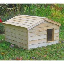 Extra Large Outdoor Cat House Insulated