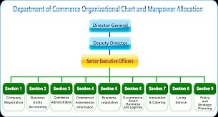 E Commerce Organizational Structure Related Keywords