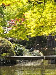 the anese garden in fort worth