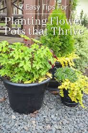 7 Tips For Planting Flower Pots That