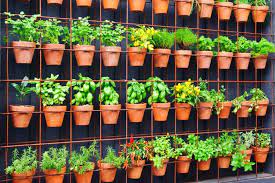 Easily Grow Food In Your Vertical Garden