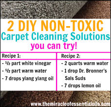 diy carpet cleaning solution archives