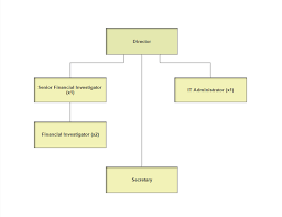 Organizational Structure Financial Intelligence Unit