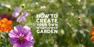 How To Create Your Own Wildflower Garden
