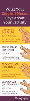 Cervical Mucus Chart Know When Youre Fertile Cervical