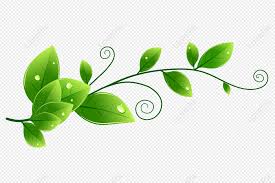 green leaves background png images with