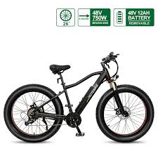 48v 750w fat tire electric bike