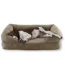 dog couch dog couch bed premium dog beds