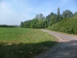 Image result for photo of vizes field