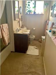 why did anyone think carpeted bathrooms