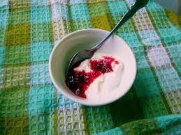 homemade lactose free yogurt