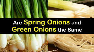 Spring Onions And Green Onions