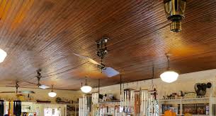 vine ceiling fan for lakeside