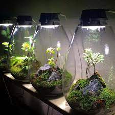 what is a terrarium self sustaining