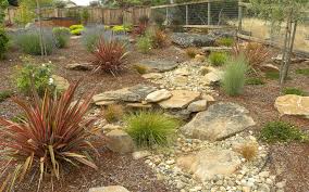 dry creek beds as a cool garden feature