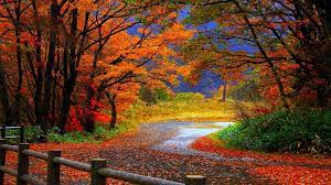 Autumn Season HD Wallpapers - Wallpaper ...