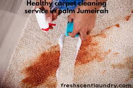 healthy carpet cleaning service in palm