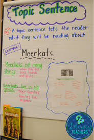 2 Literacy Teachers Topic Sentences And Owls