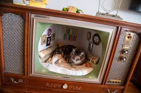 vine tv consoles become cat condo